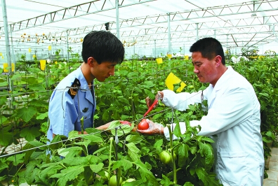 平涼食藥監所對蔬菜農藥殘留量進行測定